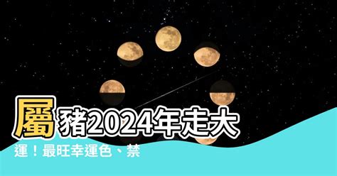 1971豬幸運色|1971豬2024年必知幸運色